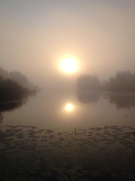 Studio Lakeside Spiegelplas Nederhorst den Berg Phòng bức ảnh